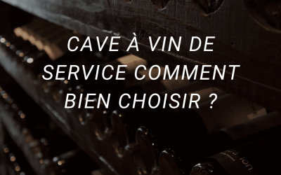 Choisir la meilleure cave à vin de service : Conseils essentiels 2023