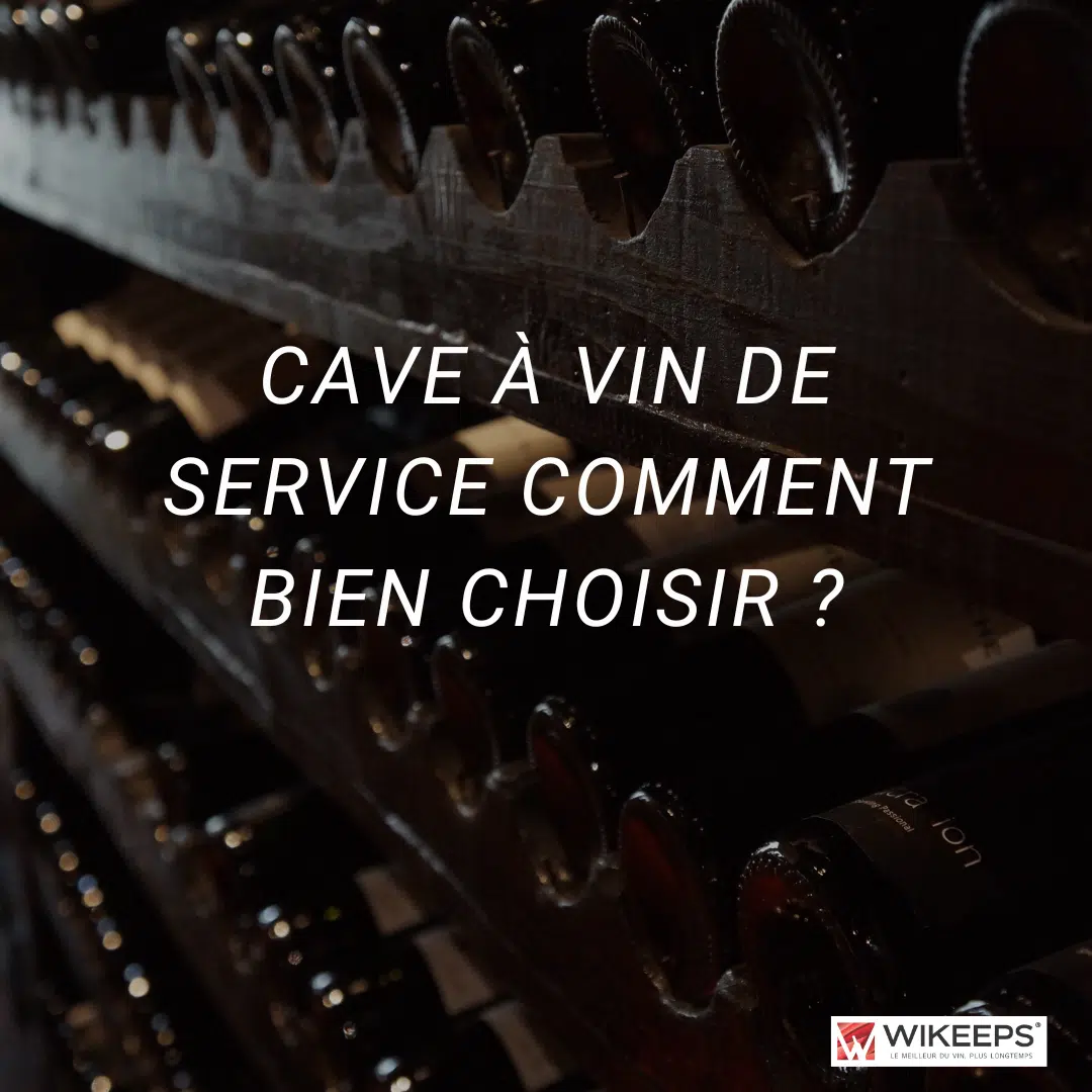 Service wine cellar – How to choose ?