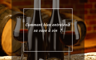 Comment entretenir sa cave à vin en 2023 ?