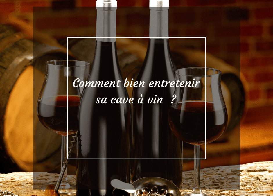 Comment entretenir sa cave à vin en 2023 ?