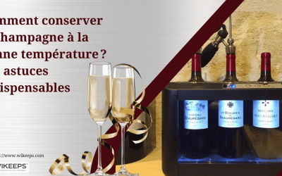 Comment conserver le champagne à la bonne température : Les astuces indispensables