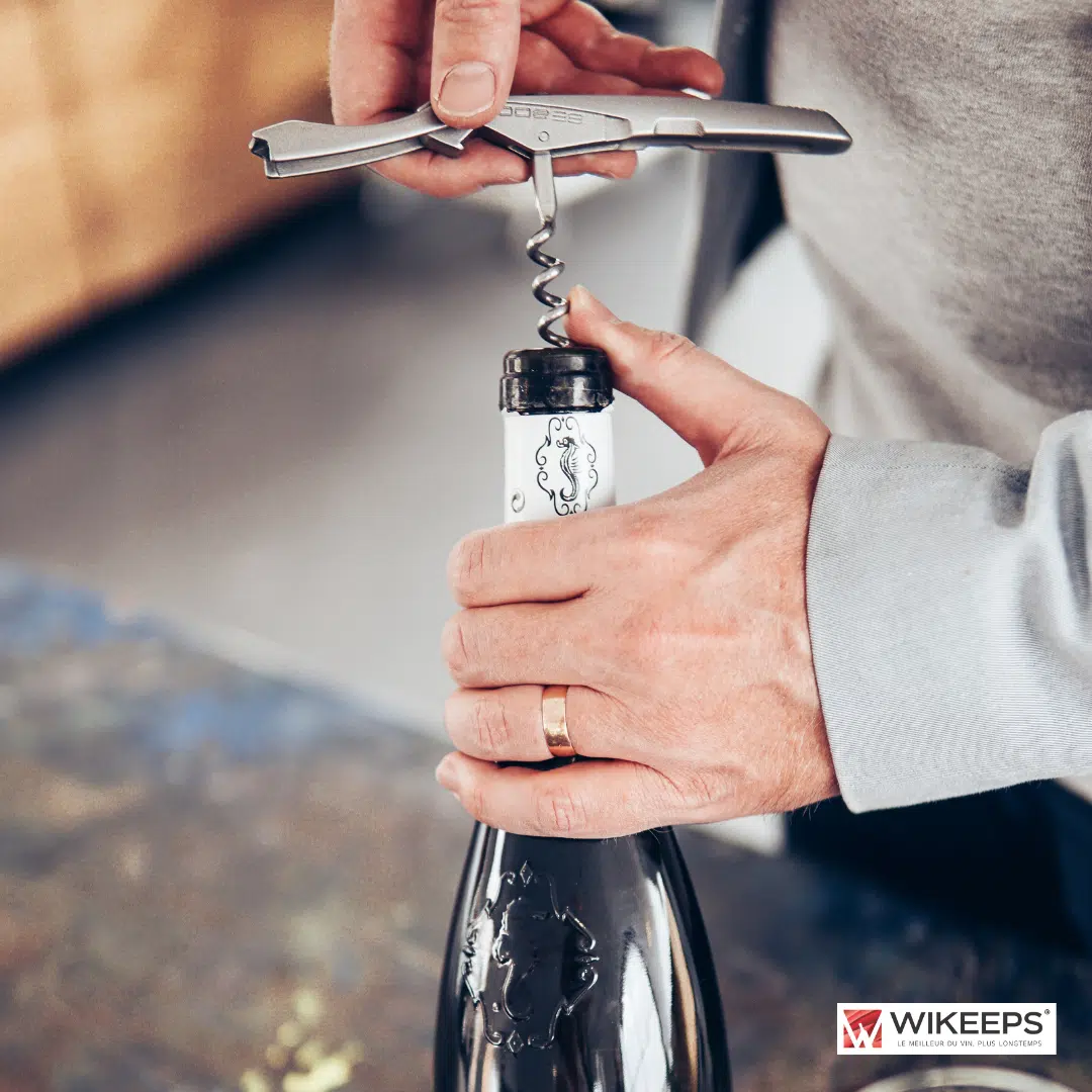 Wine accessory essentials: the ultimate connoisseur’s guide